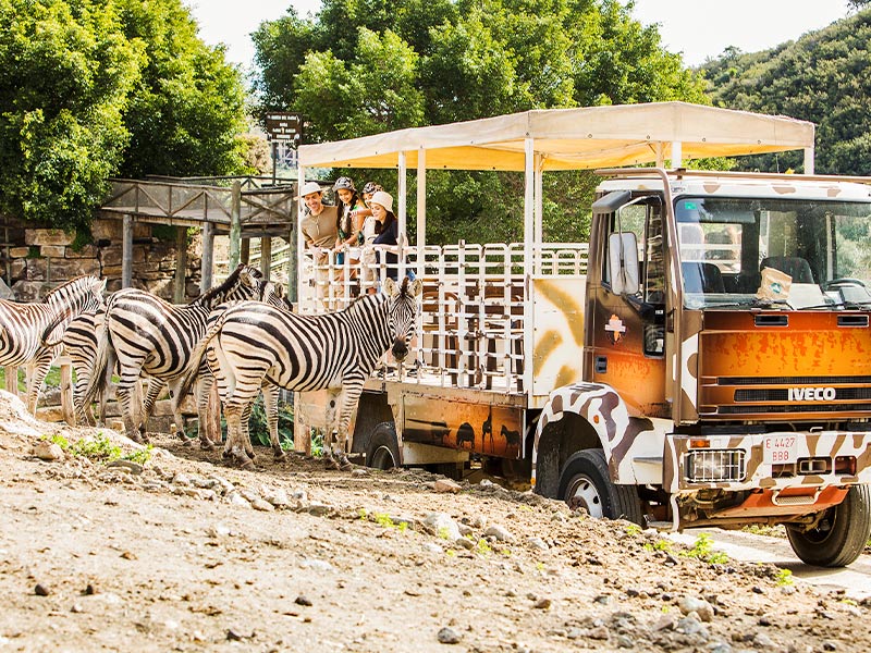 Safari Experience | Selwo Aventura Estepona Experiences