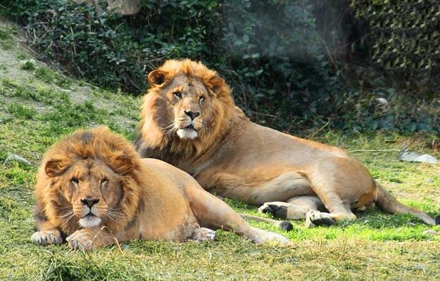 Selwo Aventura (2026) - All You MUST Know Before You Go (with Reviews)